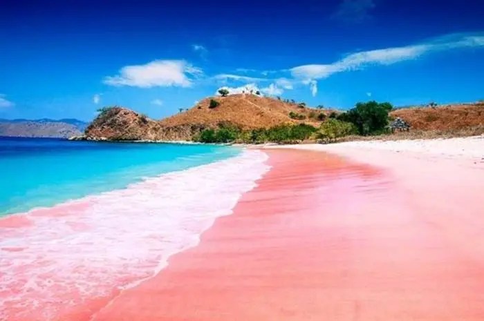 Tempat Wisata di Lombok yang Memikat dan Wajib Dikunjungi